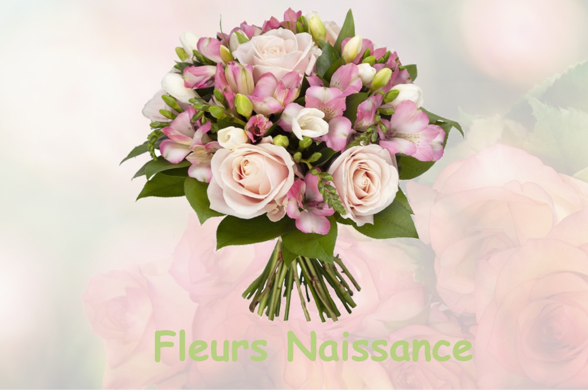 fleurs naissance MOIDIEU-DETOURBE