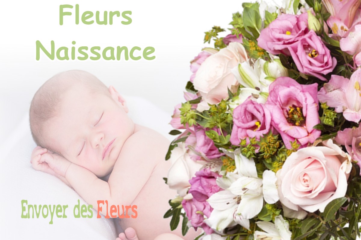 lIVRAISON FLEURS NAISSANCE à MOIDIEU-DETOURBE